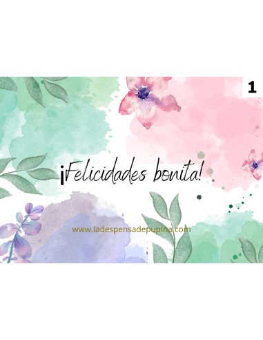 Pack 26