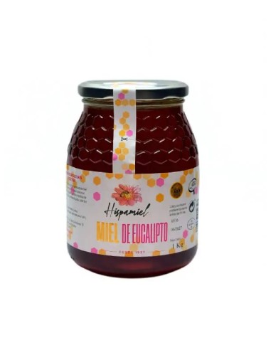 Miel Eucalipto 1kg Hispamiel