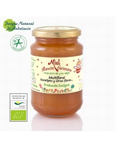 Miel Multifloral Eucalipto Ecológica 500g Rancho Cortesano