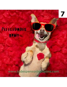 FELICIDADES BRO!! (7)