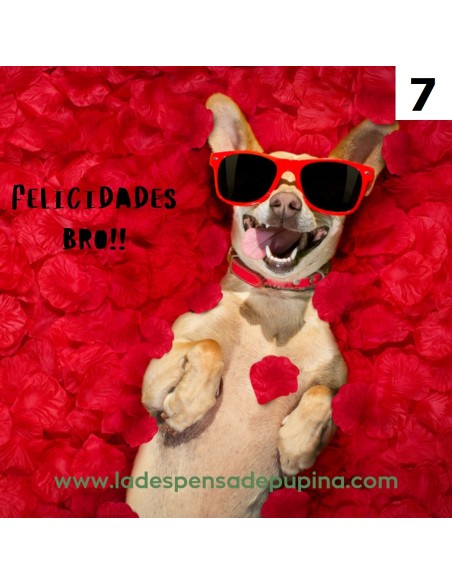 FELICIDADES BRO!! (7)