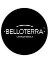 Belloterra